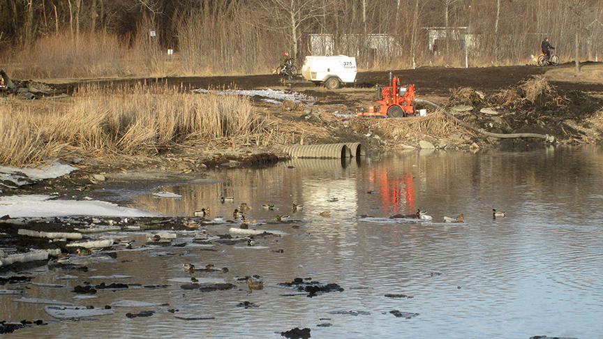 dredging at shingle creek